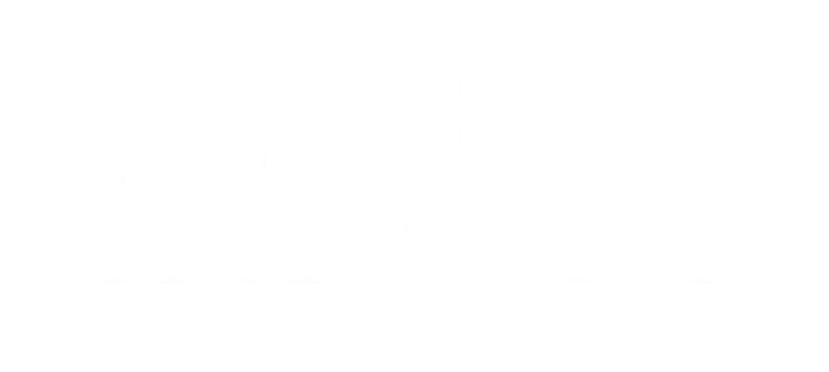 LOGO dtx branco